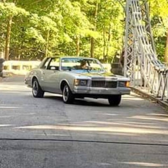 Meet your Posher, Jesse - Picture 1 of 1